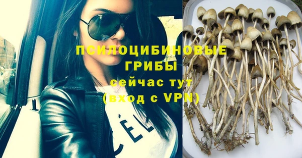 марихуана Белокуриха