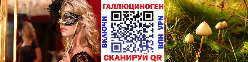 где купить наркотик  Бородино  Галлюциногенные грибы мухоморы 